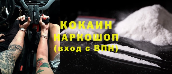 шишки Алзамай