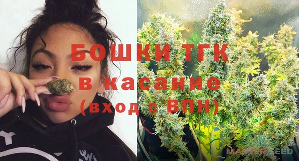 шишки Алзамай