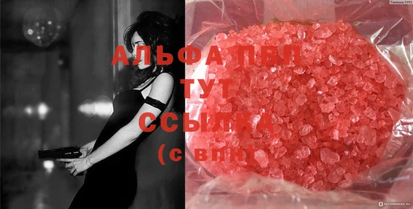 шишки Алзамай