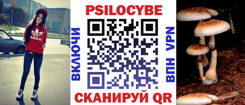 закладка Наволоки Галлюциногенные грибы прущие грибы