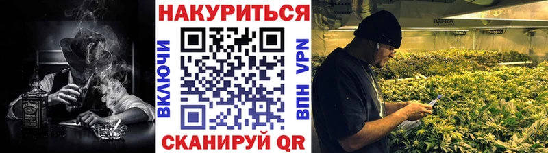 Конопля сатива  цены   Наволоки 